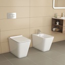 2051B - &quot;FLoor toilet Rimless flush UF cover seat Shine white&quot;