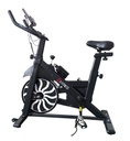 Bicicleta de Spinning TJ1720