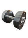 Mancuerna cromada con logo G-Fitness 27.5KG