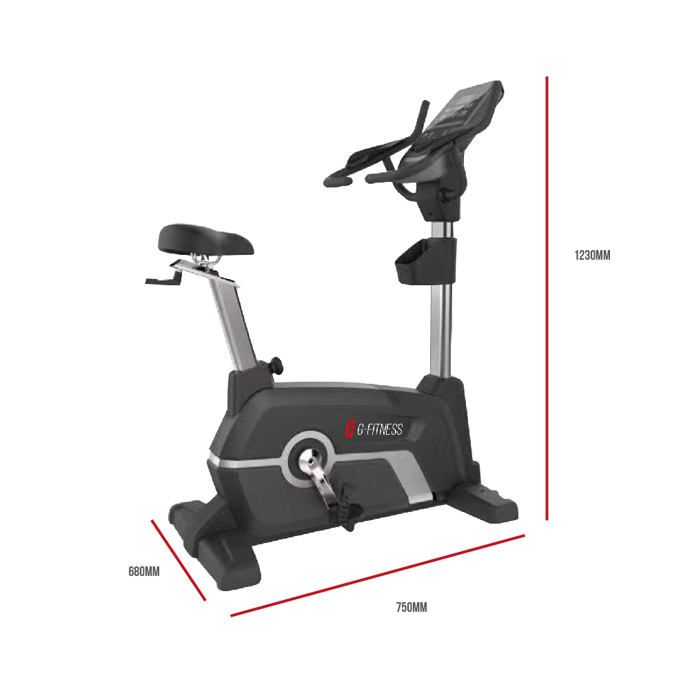 Bicicleta vertical (Upright Bike Magnetic system)