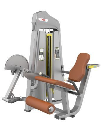 Cuadriceps  M-LINE