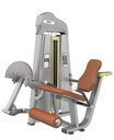 Cuadriceps  M-LINE