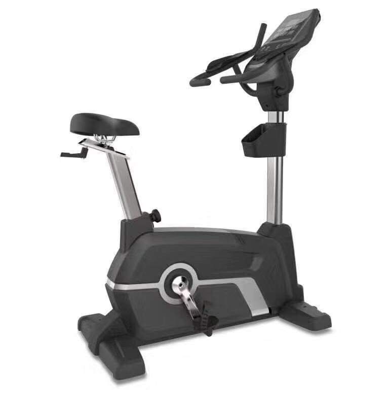 Bicicleta vertical (Upright Bike Magnetic system)