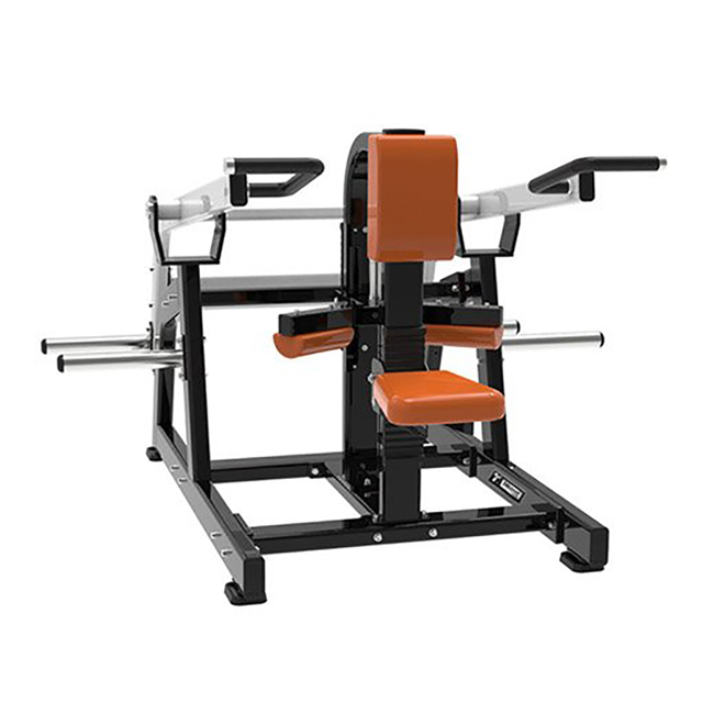 Seated Dip PL-LINE