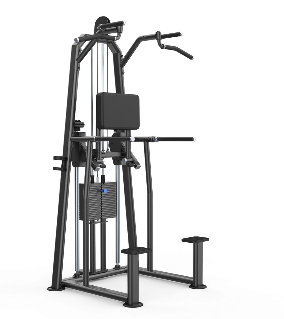 Máquina Dominadas y Fondos Asistidos-  U2009 - U-Line