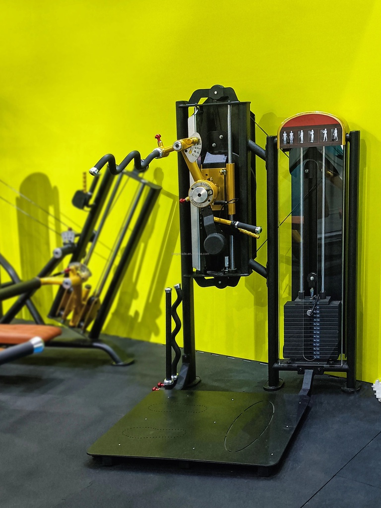 Máquina Multifuncion Biceps y Triceps