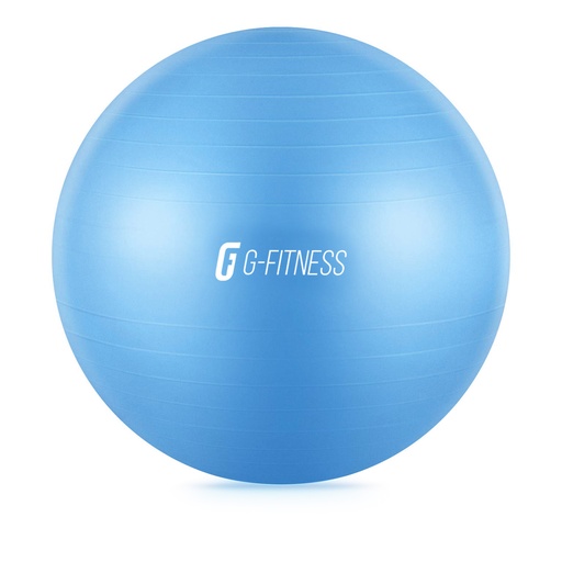 [100926-65] Fitball 65cm