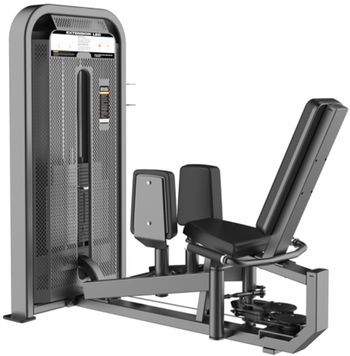 [E5089] Abductor & Adductor. FUSION LINE